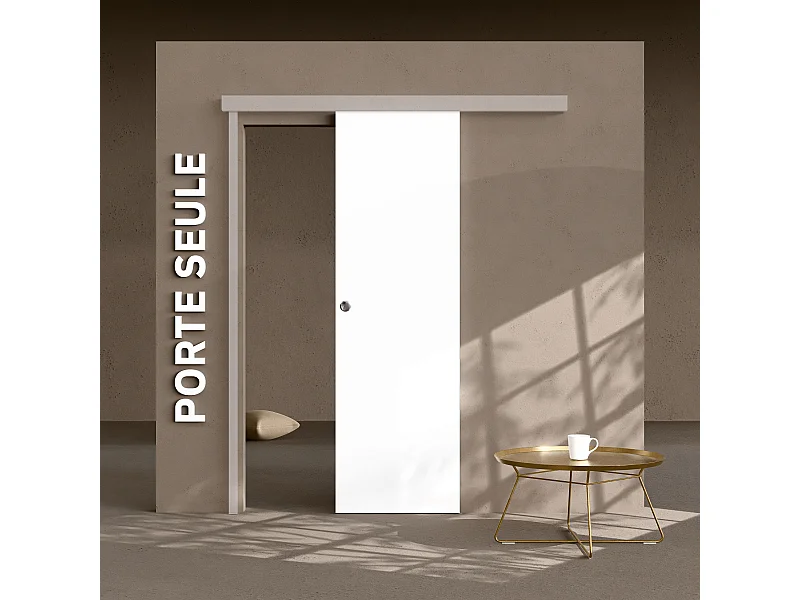 Porte Coulissante Seule - Prépeinte Plane 63 cm