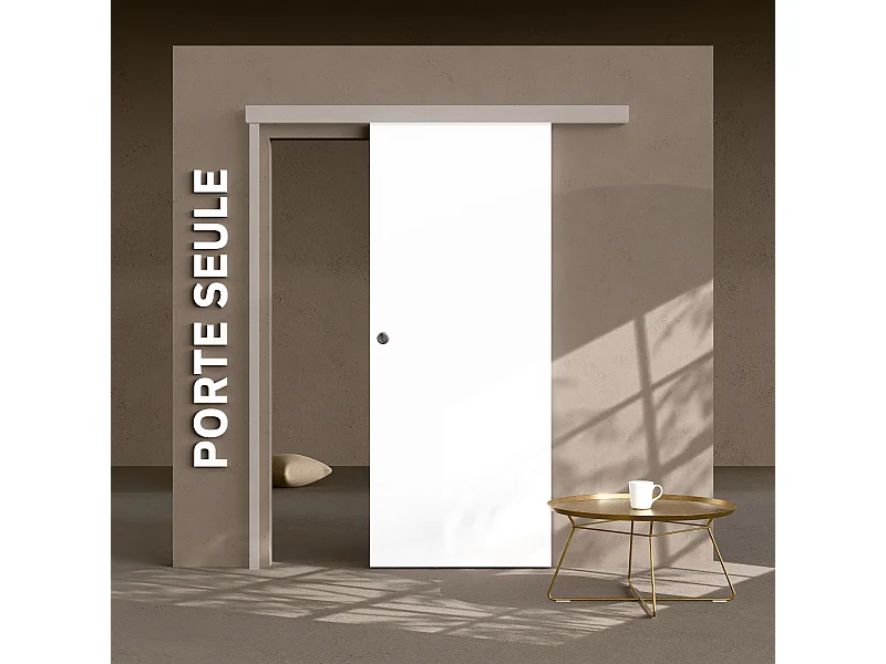 Porte Coulissante Seule - Prépeinte Plane 83 cm