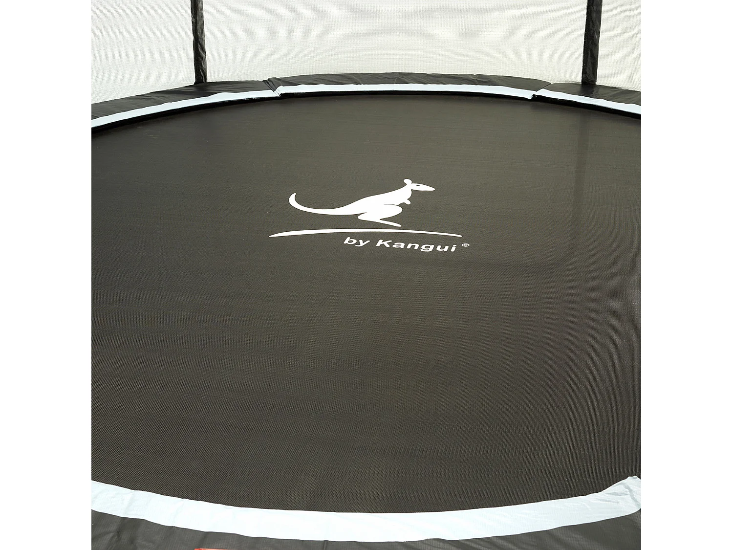Trampoline rond Bleu Ø360cm avec filet, échelle, bâche et kit ancrage
