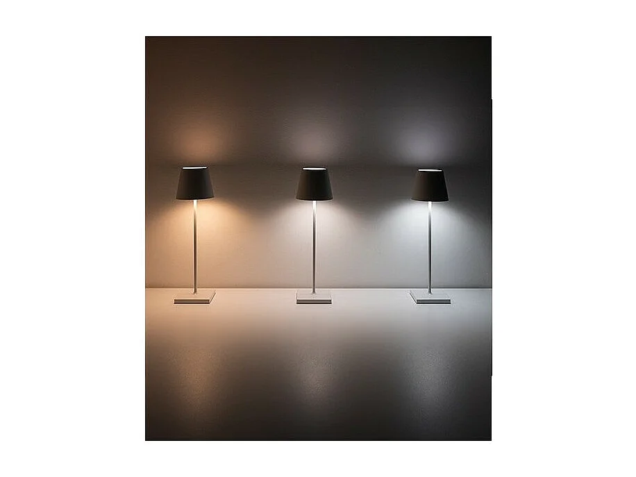 Lampada a led da tavolo Poldina Pro Nera Foglia Oro Craquelè ricaricabile e dimmerabile con batteria fino a 12 ore