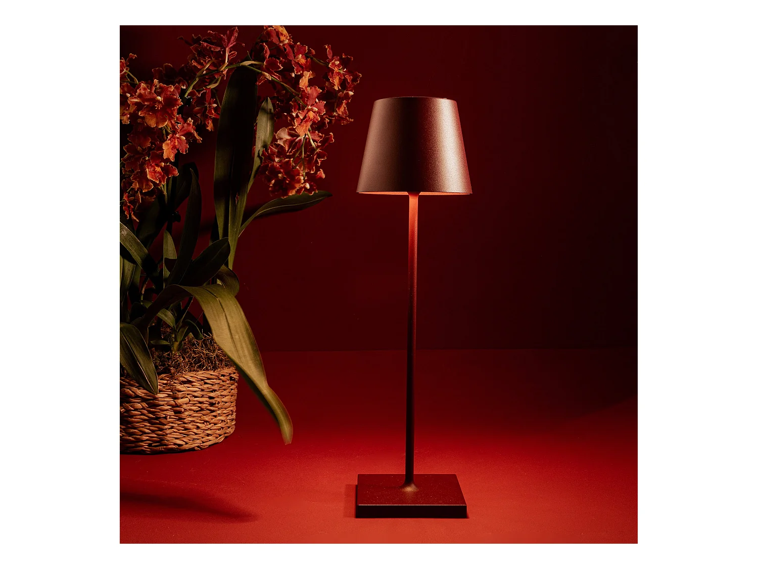 Poldina Pro Bordeaux LED tafellamp, oplaadbaar en dimbaar met batterijduur tot 12 uur. Voor extern gebruik IP65