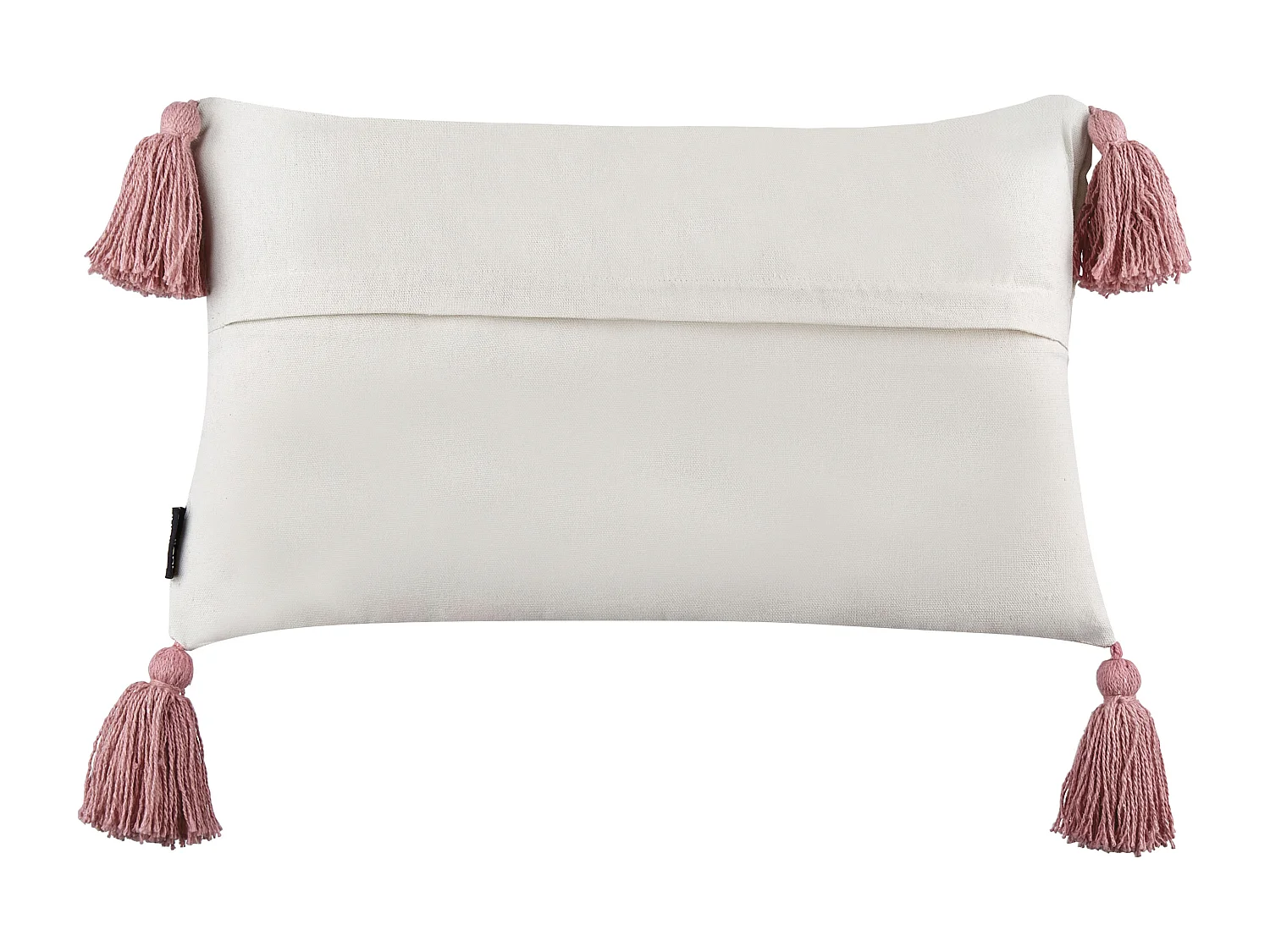 Lot de 2 coussins 30 x 50 cm multicolore DIJKOT