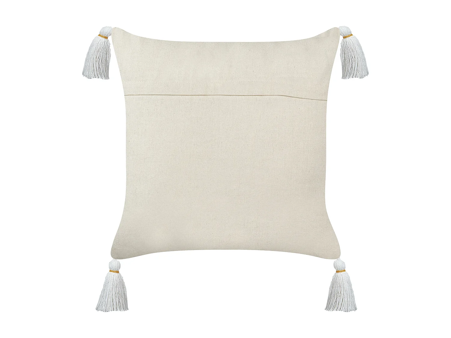 Set van 2 decoratieve kussens AZALIA Katoen 45 x 45 cm Wit Bloempatroon