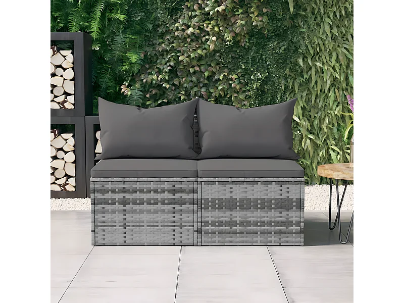 Canapés centraux de jardin et coussins 2pcs Gris Résine tressée