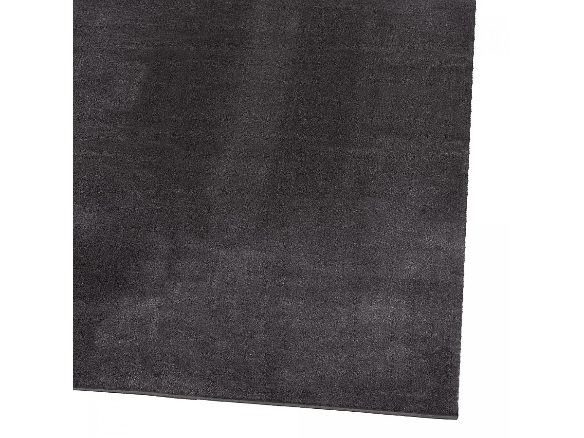 Tapis d'entrée LYN10 LAVABLE 80x150 soyeux et doux, tapis anthracite uni à l'aspect : Shaggy