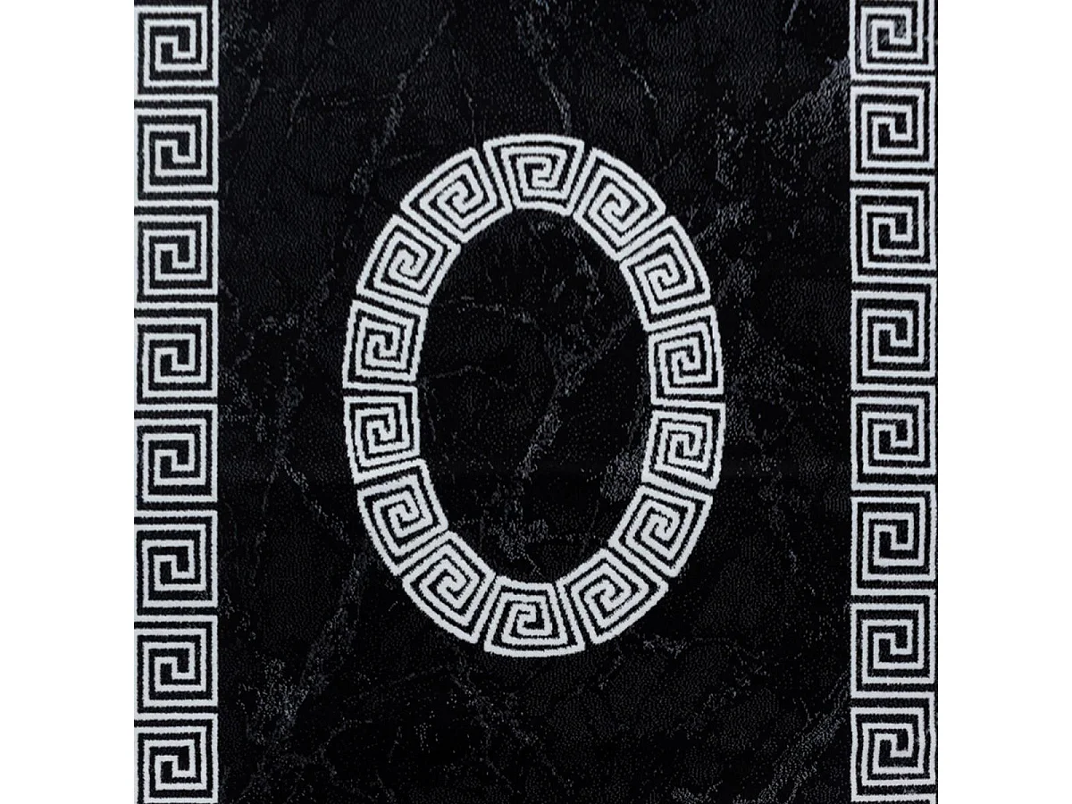 tapis salon 200x290 tissé noir et blanc rectangle motif baroque SAPURI