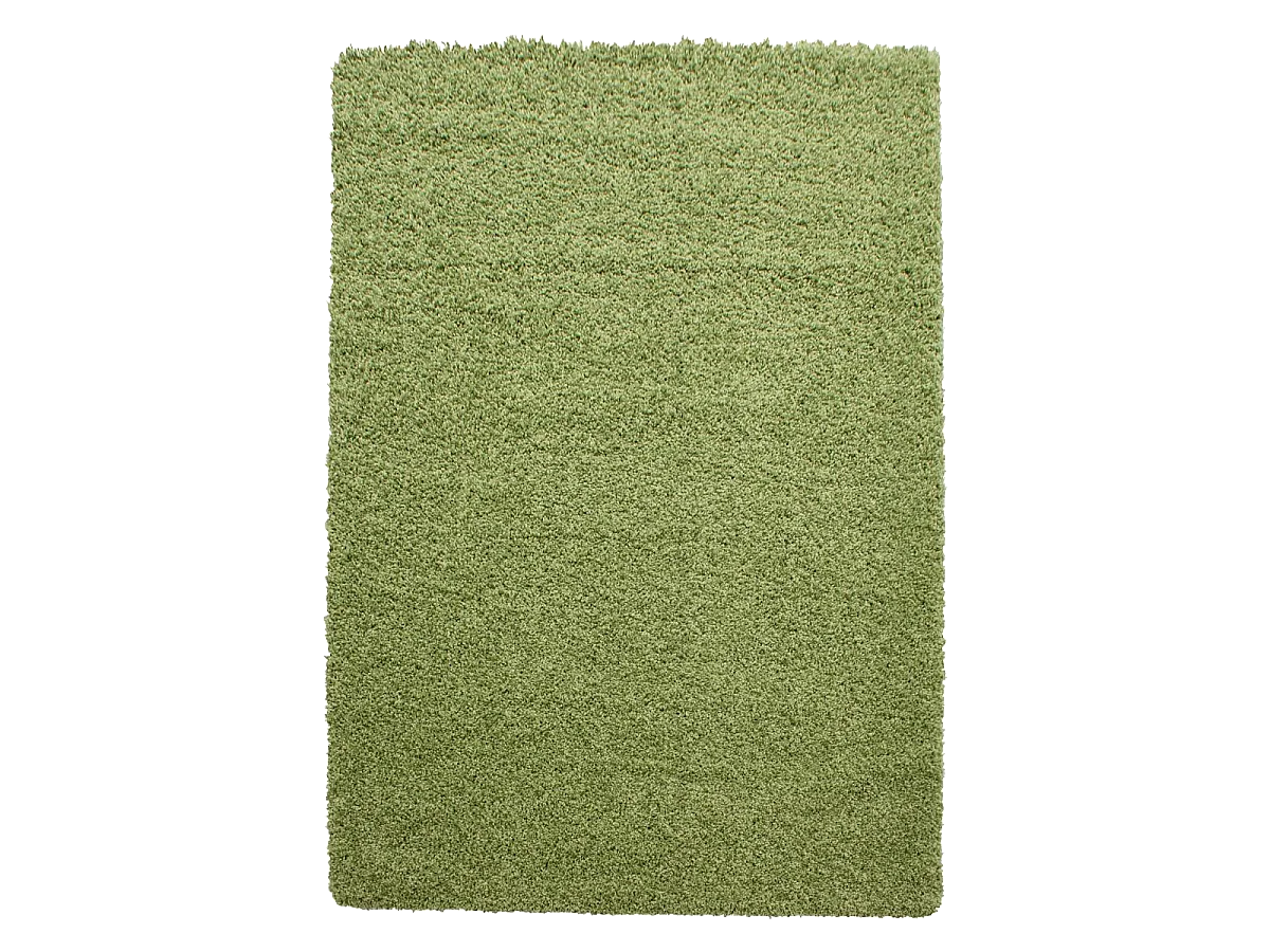Tapis poils longs shaggy 100x200 rectangle tissé vert motif uni UNI L