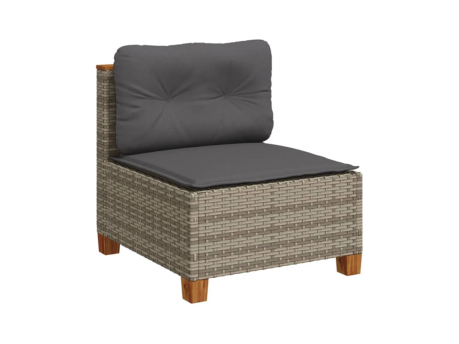 Canapé de jardin sans accoudoirs coussins gris résine tressée