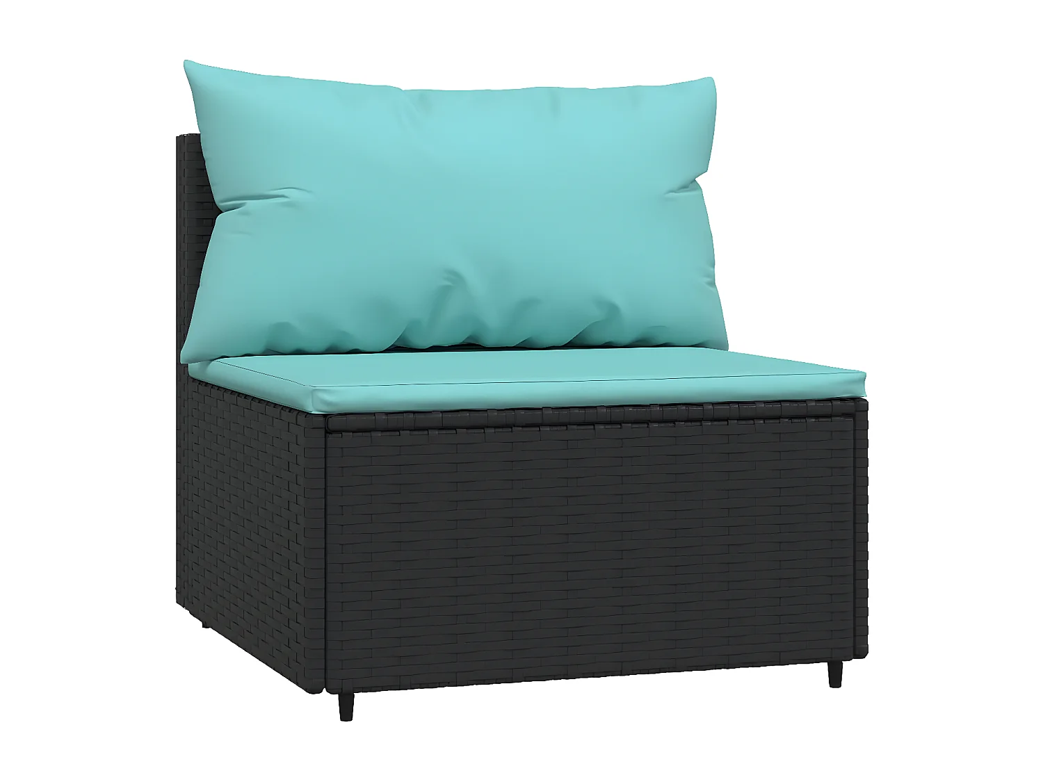 Canapés centraux de jardin et coussins 2pcs Noir Résine tressée