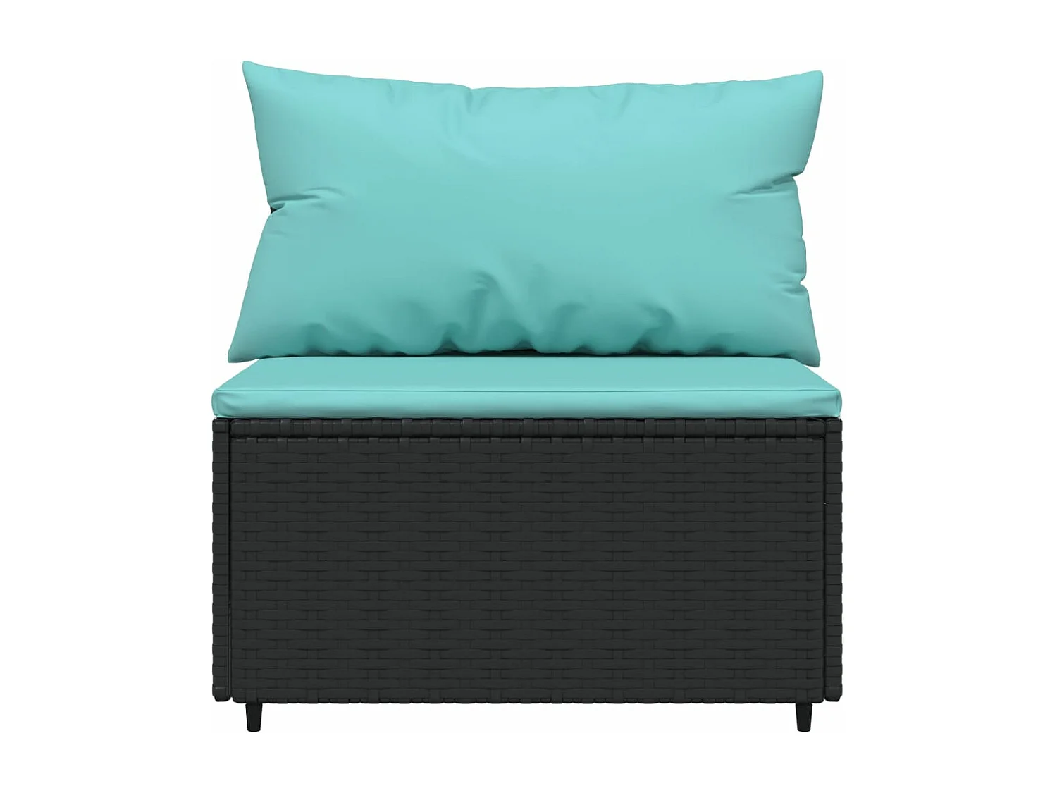 Canapés centraux de jardin et coussins 2pcs Noir Résine tressée