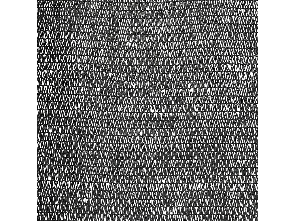 Filet brise-vue Noir 2x10 m PEHD 150 g/m²