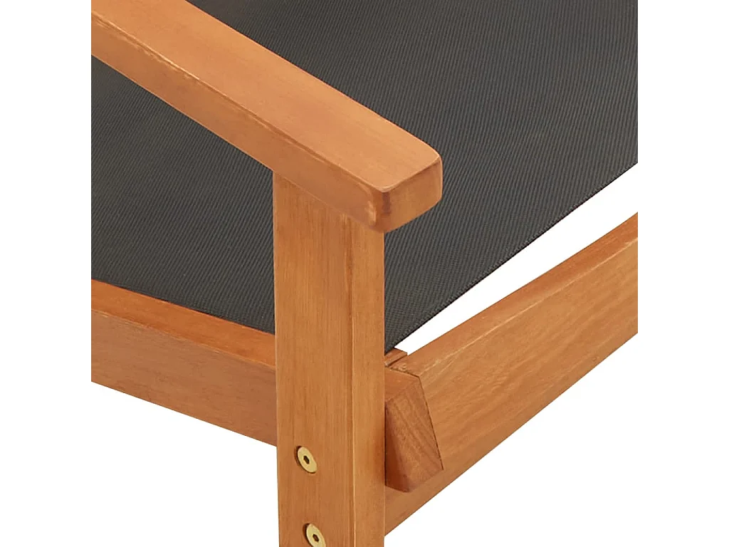 Chaise de jardin Noir Bois d'eucalyptus solide et textilène