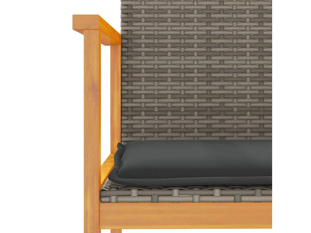 Chaises de jardin coussins lot de 2 gris résine tressée et bois