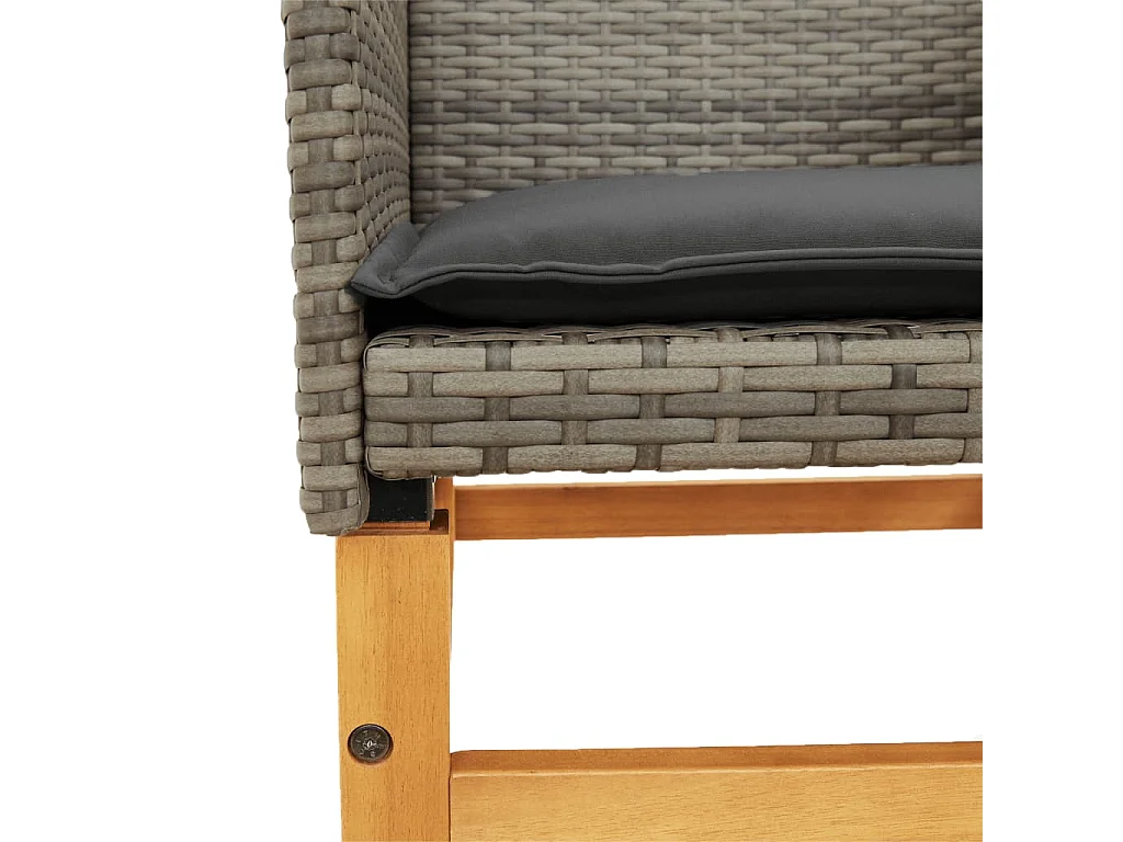 Chaises de jardin coussins lot de 2 gris résine tressée et bois