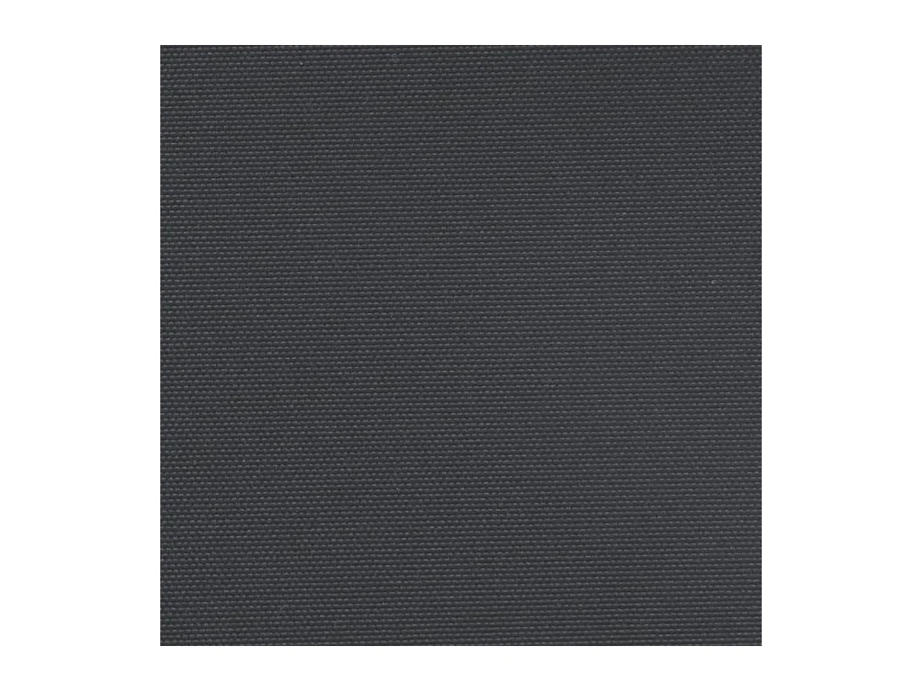 Auvent latéral rétractable noir 220x500 cm