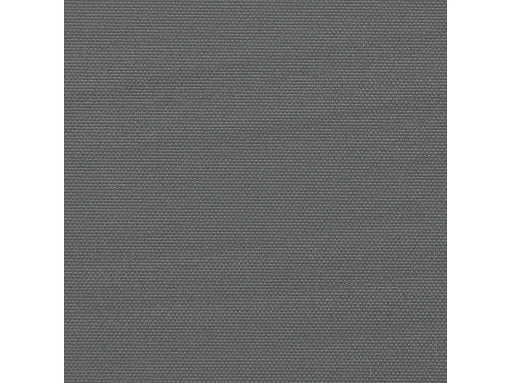 Auvent latéral rétractable anthracite 200x500 cm