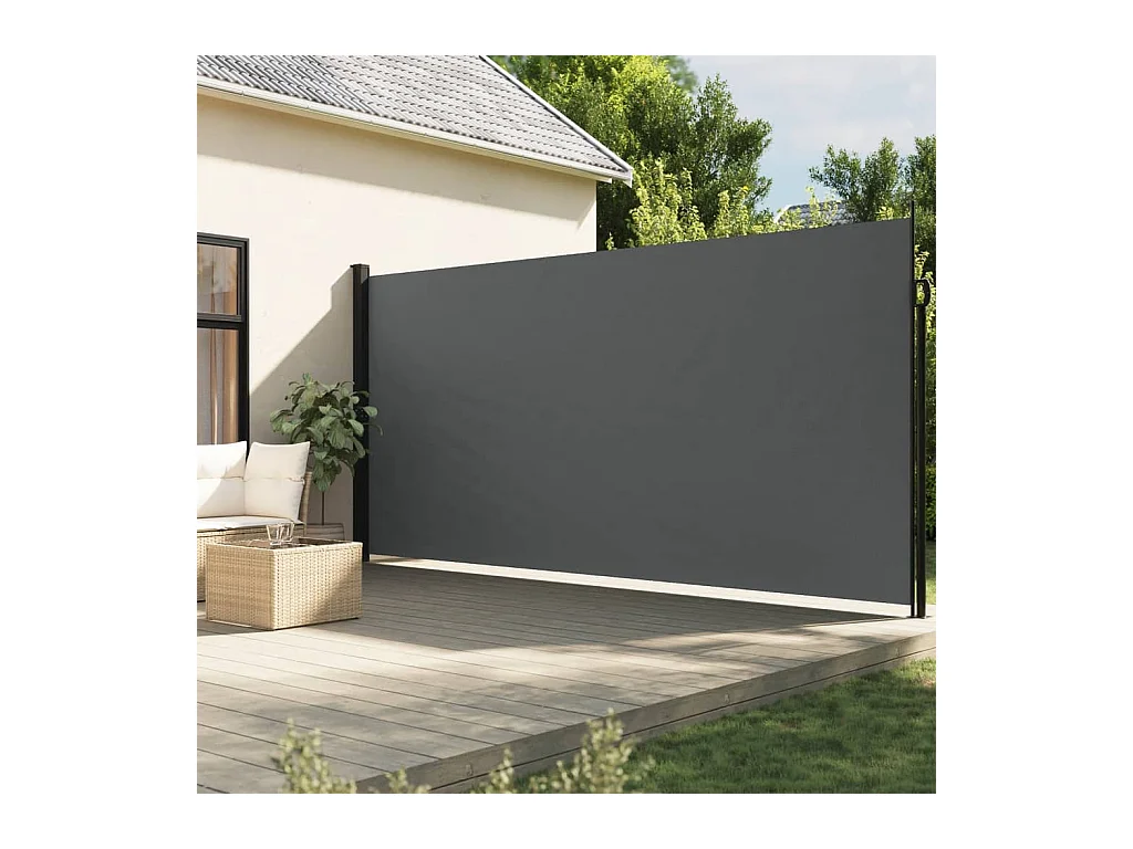 Auvent latéral rétractable anthracite 200x500 cm