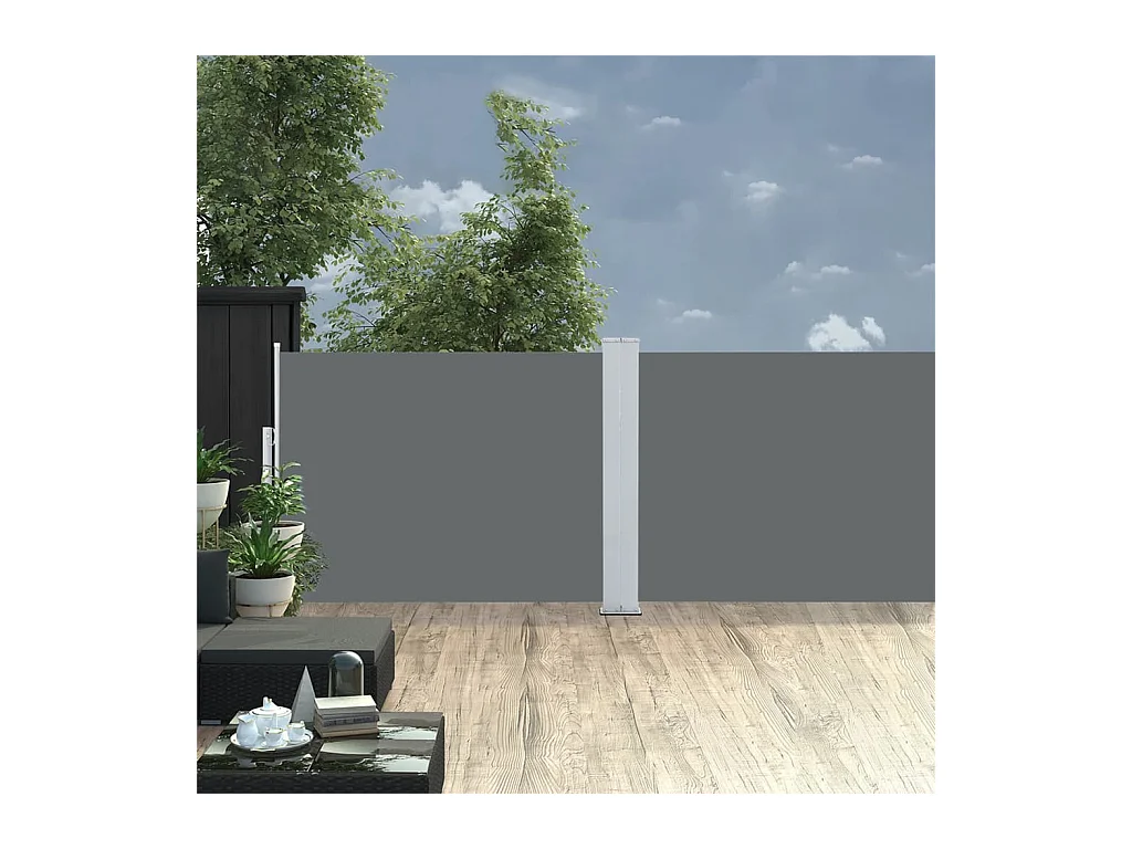 Auvent latéral rétractable Anthracite 120 x 1000 cm