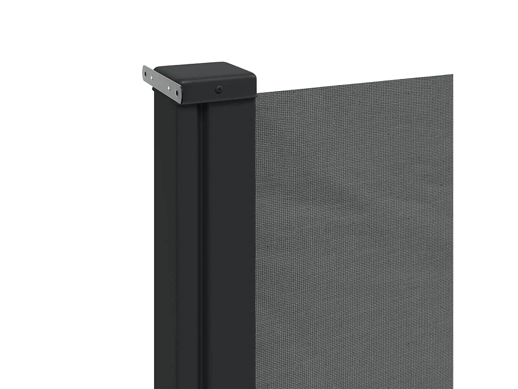 Auvent latéral rétractable anthracite 160x300 cm