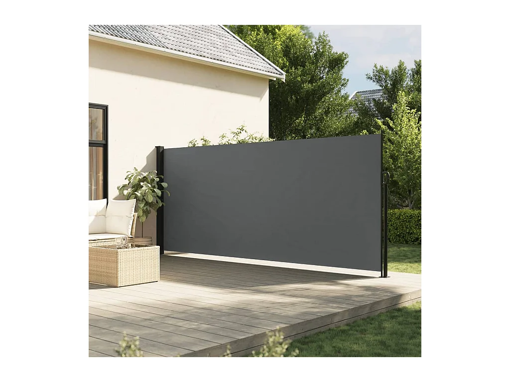 Auvent latéral rétractable anthracite 160x300 cm
