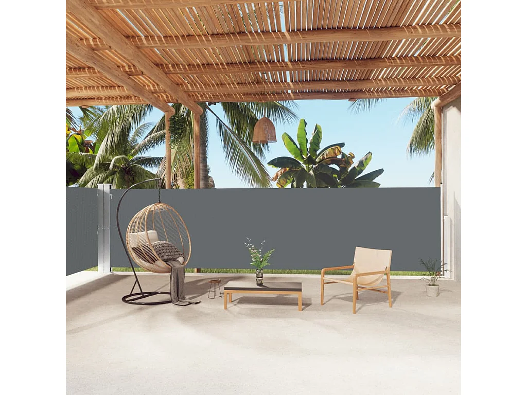 Auvent latéral rétractable Anthracite 160x1000 cm