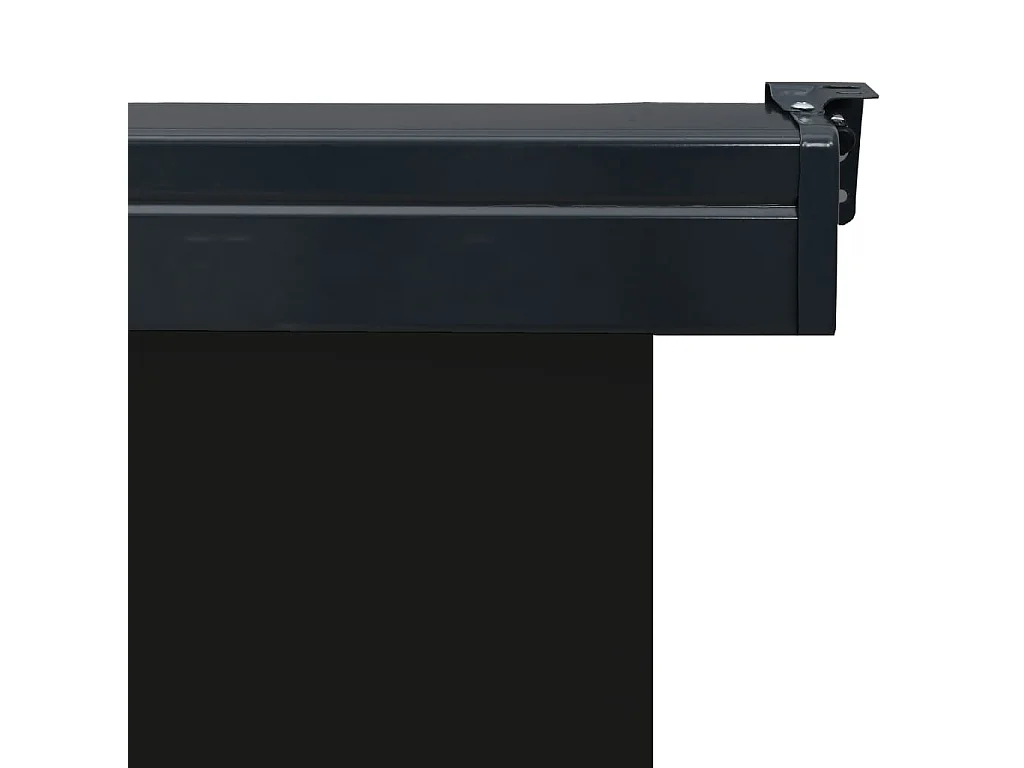 Toldo lateral para varanda 170x250 cm preto