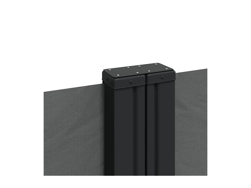 Auvent latéral rétractable anthracite 200x600 cm