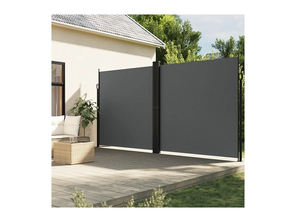 Auvent latéral rétractable anthracite 200x1000 cm