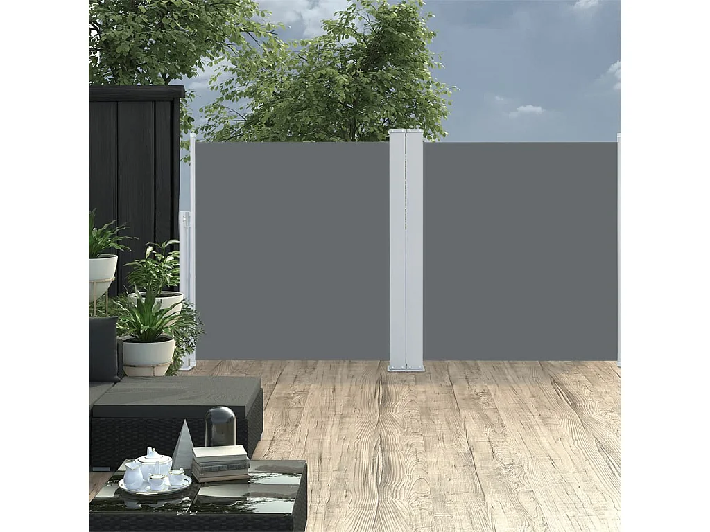 Toldo lateral retrátil antracite 100 x 600 cm