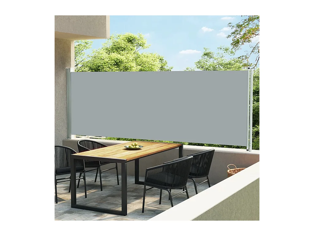 Auvent latéral rétractable de patio 600x160 cm Gris