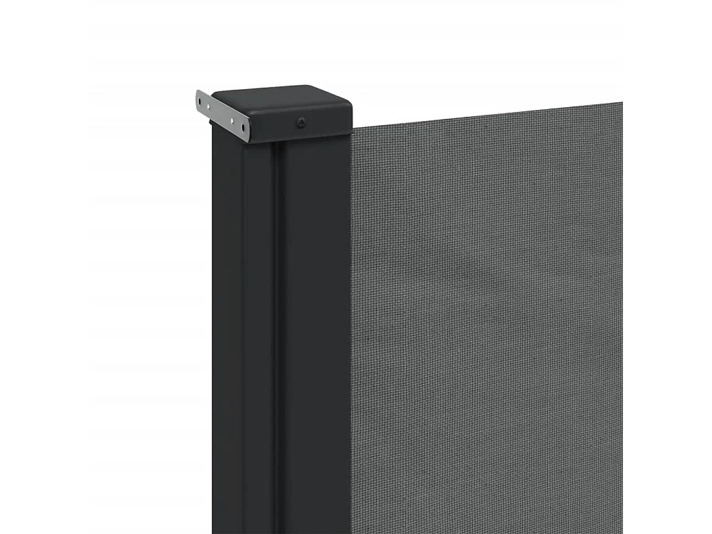 Tenda laterale retrattile antracite 160x600 cm