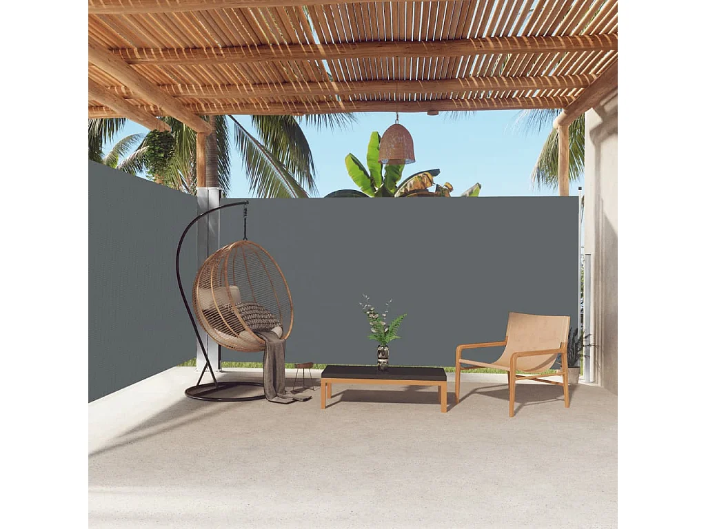 Auvent latéral rétractable Anthracite 180x600 cm