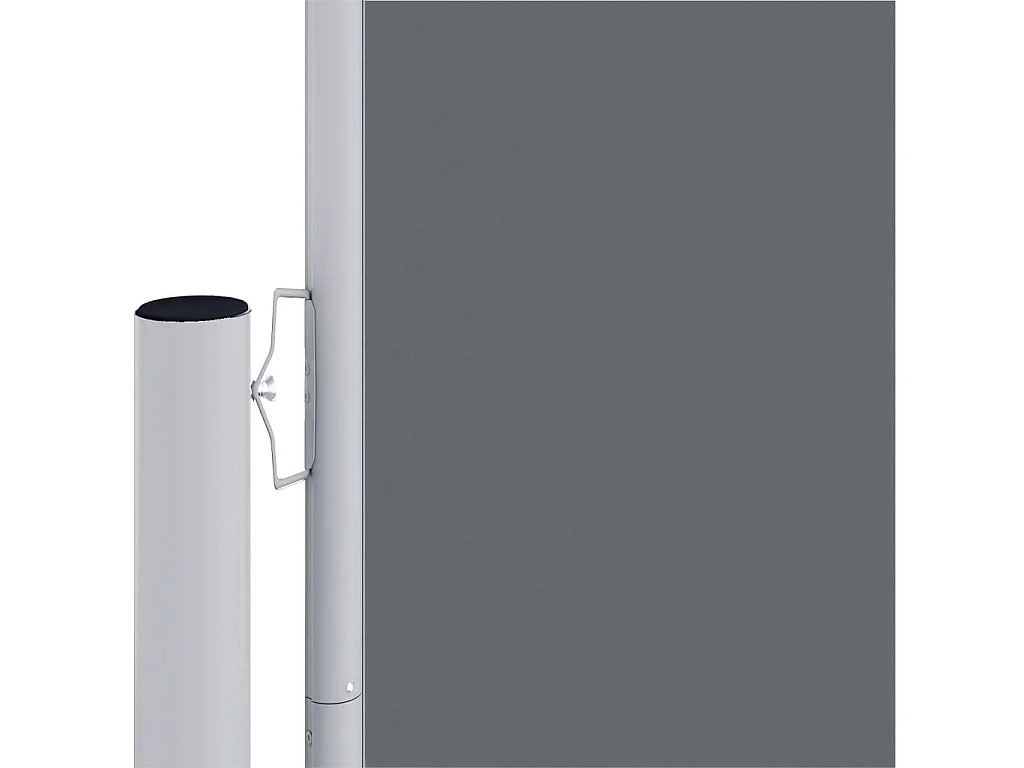Auvent latéral rétractable Anthracite 220x1000 cm