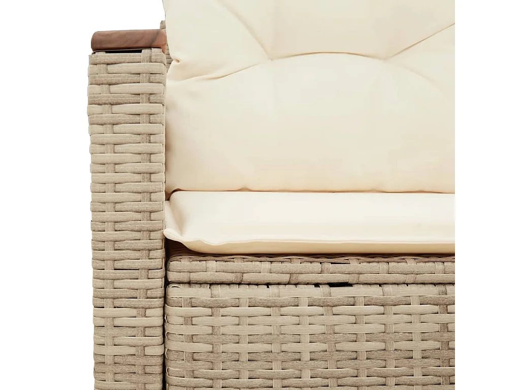 Divano da giardino con cuscini in resina intrecciata beige a 2 posti