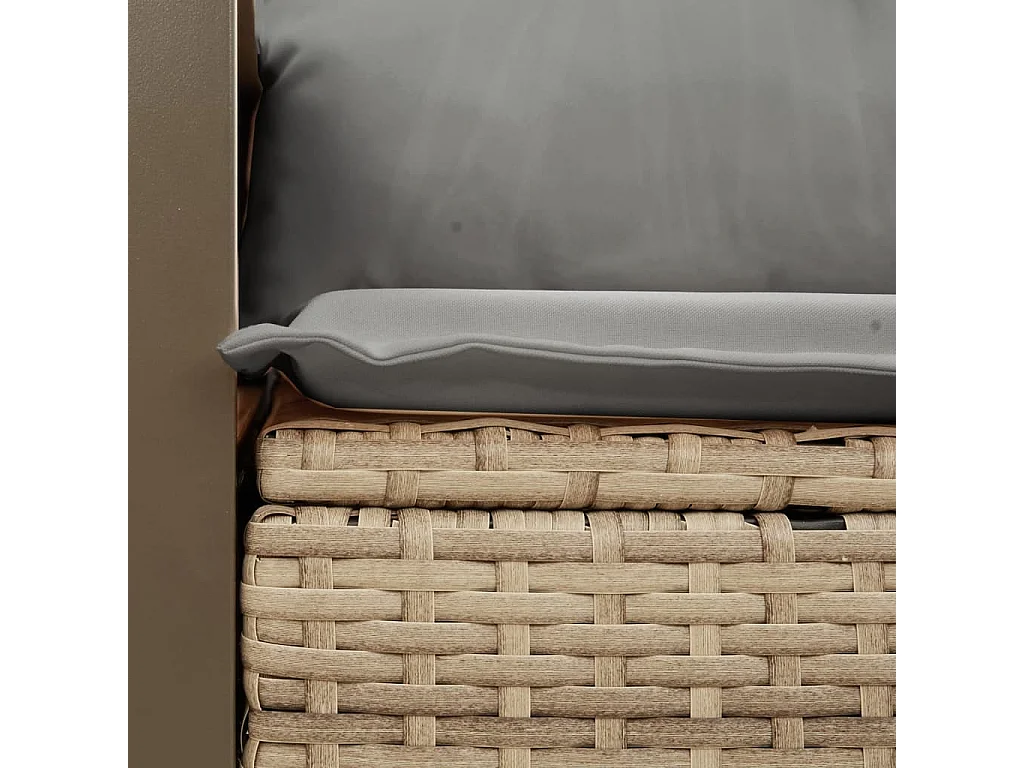 Divano da giardino con cuscini in resina intrecciata beige a 2 posti