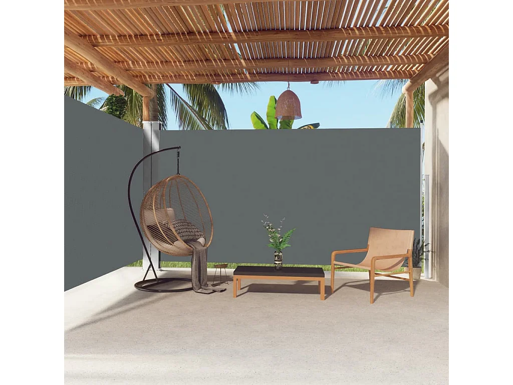 Auvent latéral rétractable Anthracite 200x600 cm