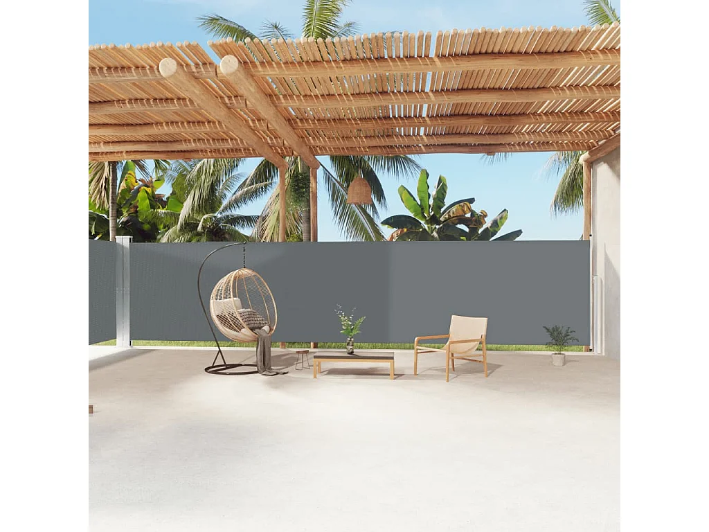 Tenda laterale retrattile Antracite 180x1200 cm