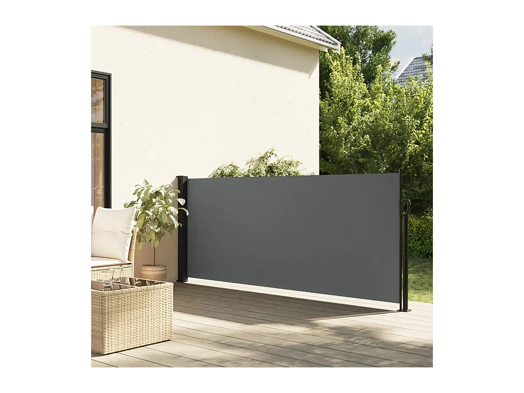 Auvent latéral rétractable anthracite 120x500 cm