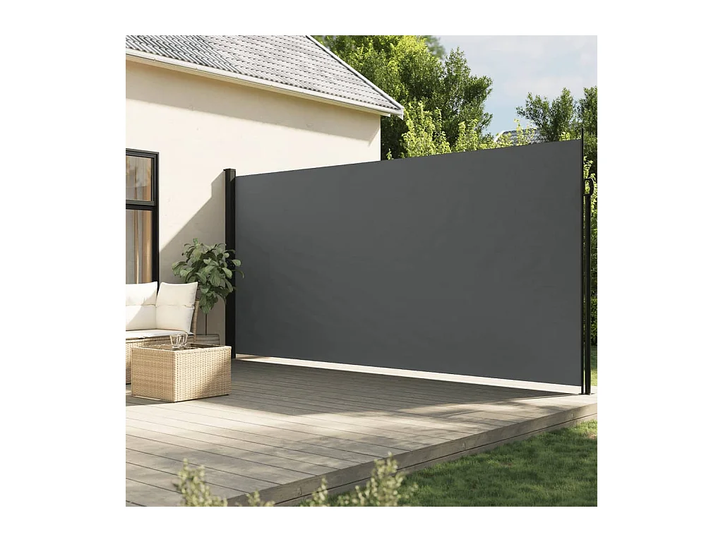 Anthrazit ausziehbare Seitenmarkise 220x600 cm