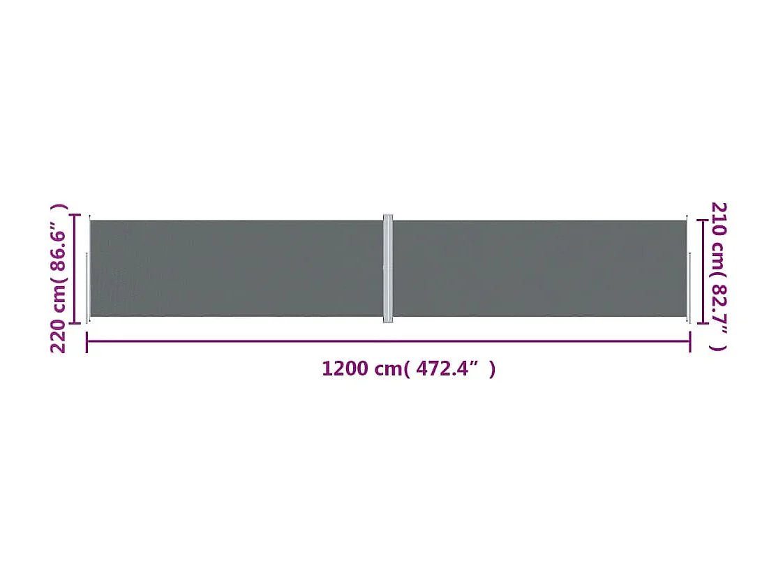 Tenda laterale retrattile Antracite 220x1200 cm