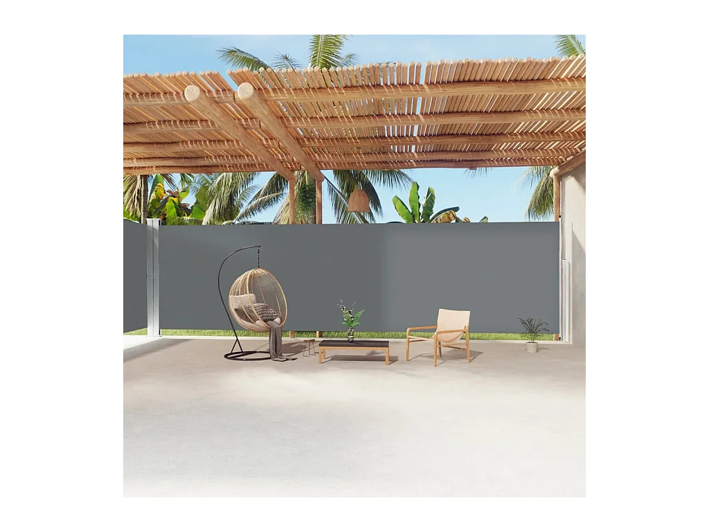 Tenda laterale retrattile Antracite 220x1200 cm