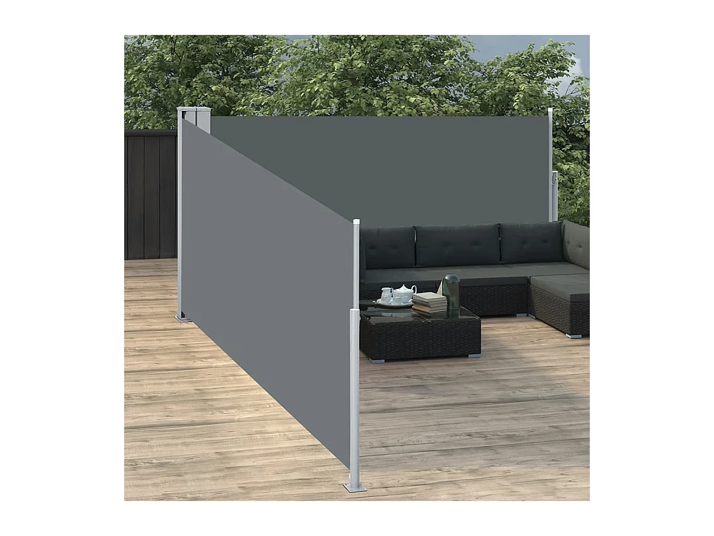 Auvent latéral rétractable Anthracite 100 x 1000 cm