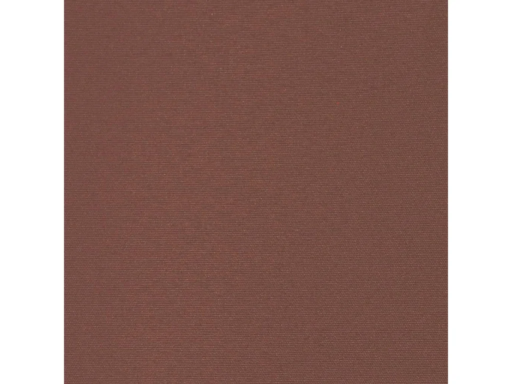 Toldo de terraza lateral retráctil 100x300 cm Marrón