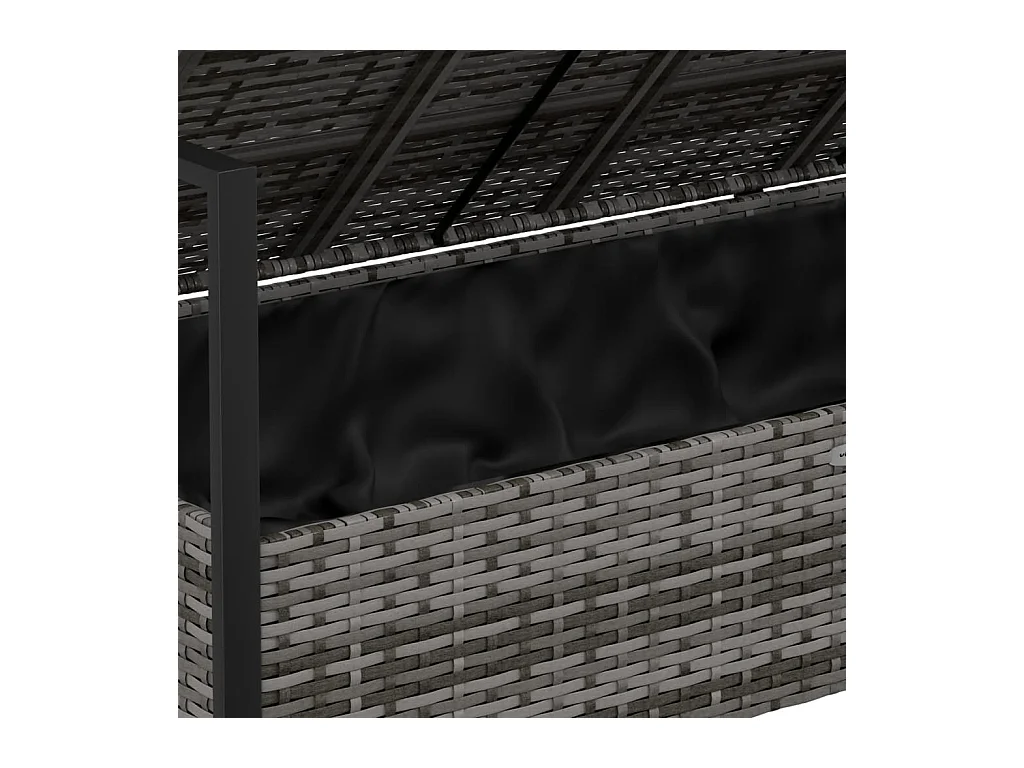 Banc de Jardin à 2 Places avec Coussins Gris Résine Tressée