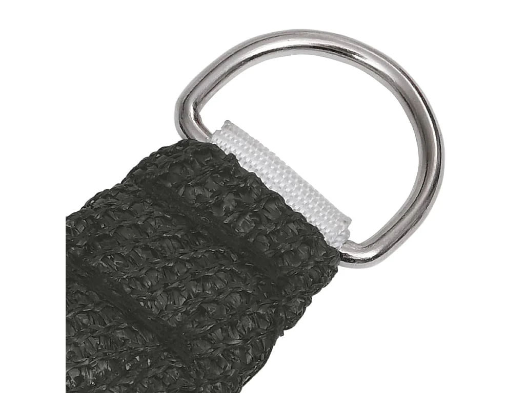 Voile d'ombrage 160 g/m² Anthracite 5x5 m PEHD