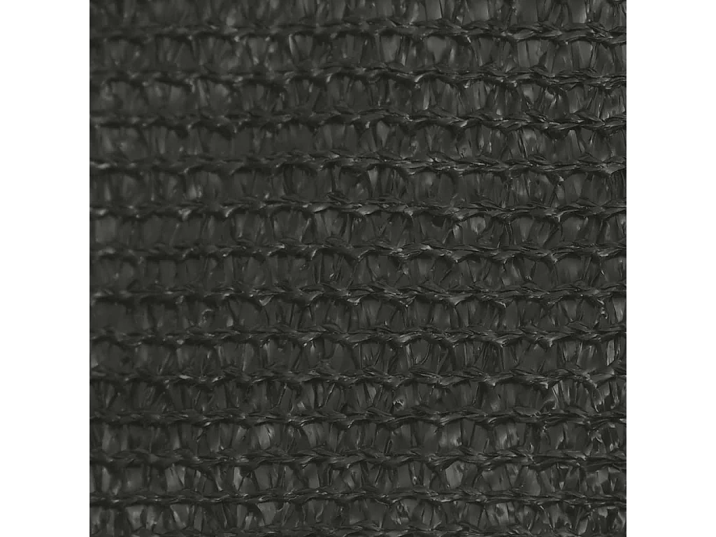 Voile d'ombrage 160 g/m² Anthracite 5x5 m PEHD