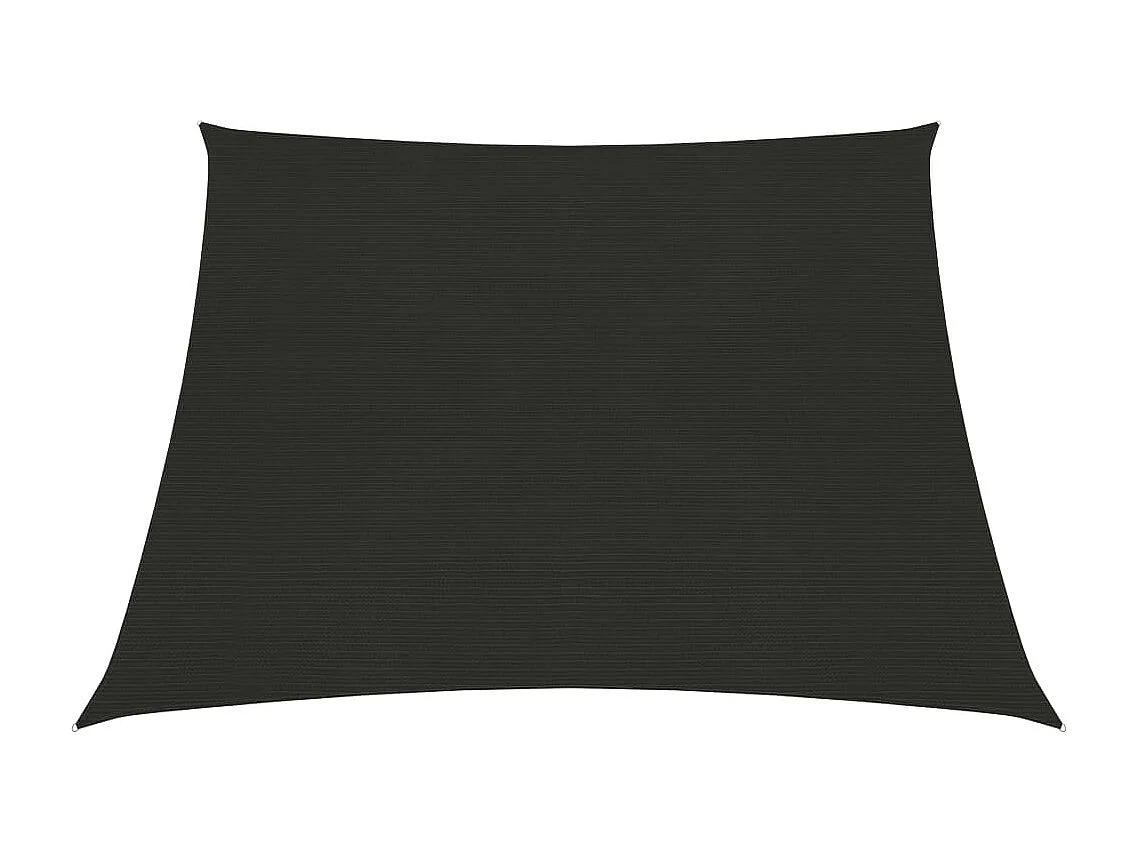 Voile d'ombrage 160 g/m² Noir 3/4x3 m PEHD