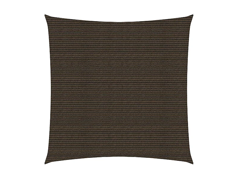 Voile d'ombrage 160 g/m² Marron 4x4 m PEHD