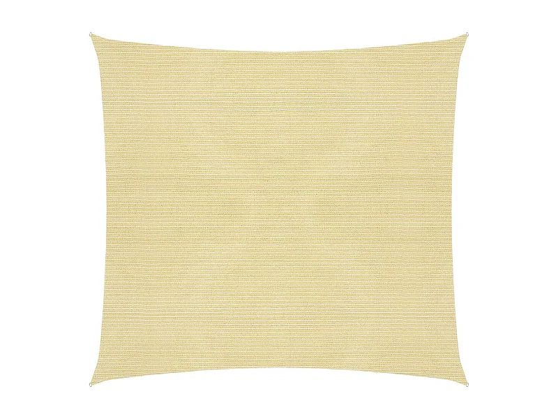 Voile d'ombrage 160 g/m² Beige 2,5x2,5 m PEHD