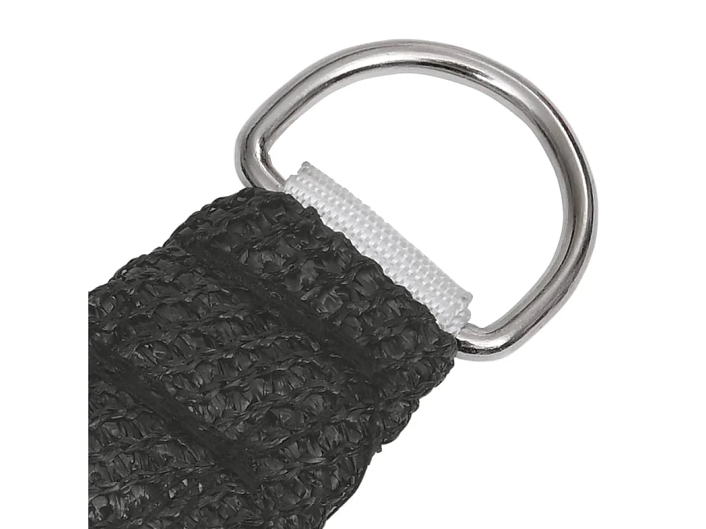 Voile d'ombrage 160 g/m² Anthracite 3/4x3 m PEHD